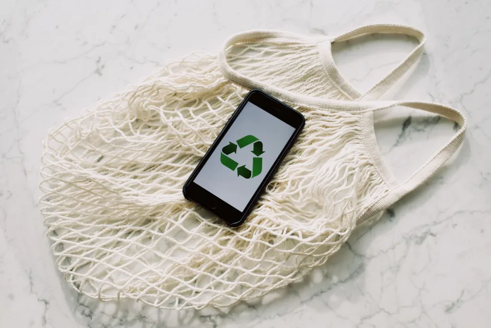 Sustainable Hosting: Eco-Friendly Practices That Guests Love